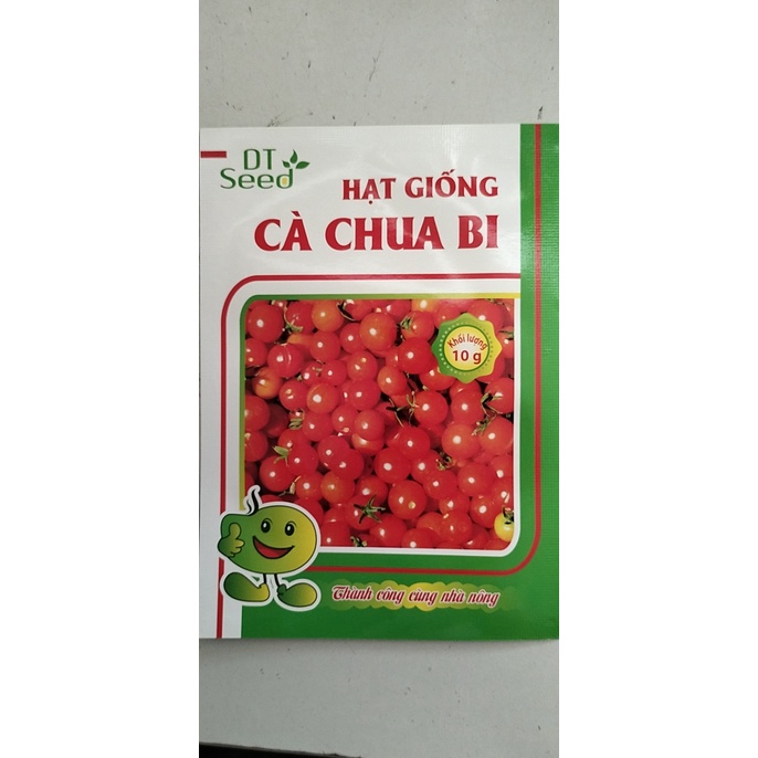 Hạt giống Cà chua bi siêu trái 30 hạt - Rau củ quả trồng tại vườn, sân thượng, nông trang, ban công