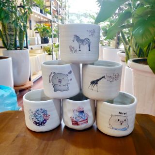 Chậu cốc mini - Chậu trồng cây mini in hình - chậu cây văn phòng để bàn, sen đá xương rồng