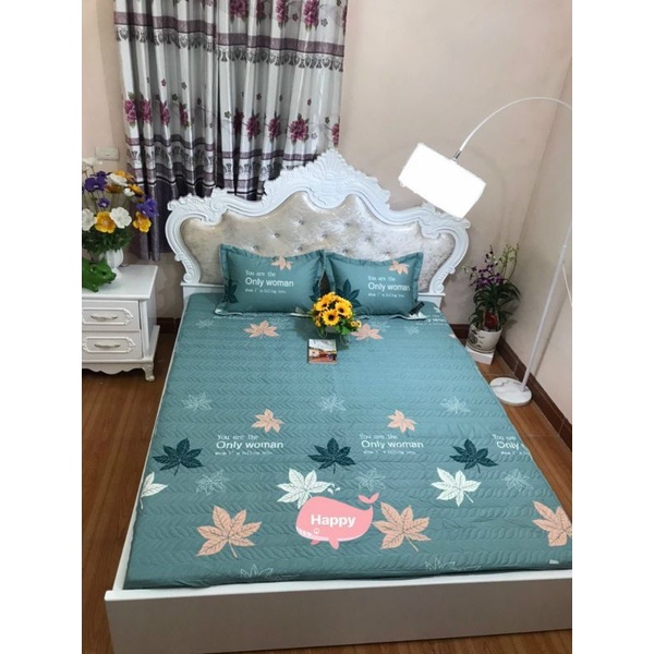 Sét 3 món ga chun trần bông và vỏ gối trần bông cotton