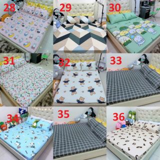 Bộ ga và 2 vỏ gối cotton poly