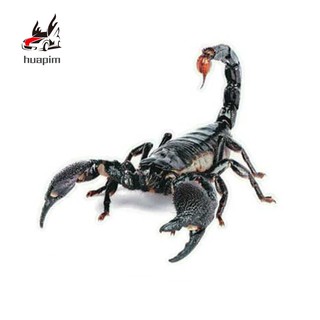 Decal dán trang trí hình thằn lằn 3D cho xe hơi