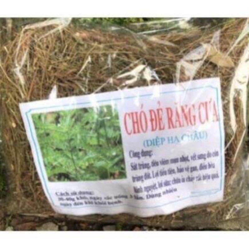 Diệp Hạ châu gói (cây chó đẻ rang cưa) - gói 1kg