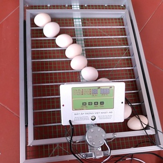 Máy ấp trứng tự chế 60.120 trứng