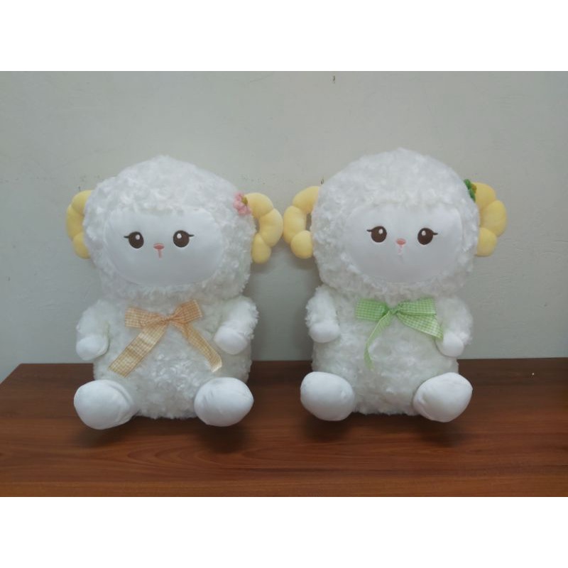 Cừu trắng lông xoăn cao cấp