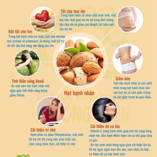 Hạnh Nhân Tách Vỏ Hàng Mỹ nguyên vị- Hộp 500g loại đặc biệt