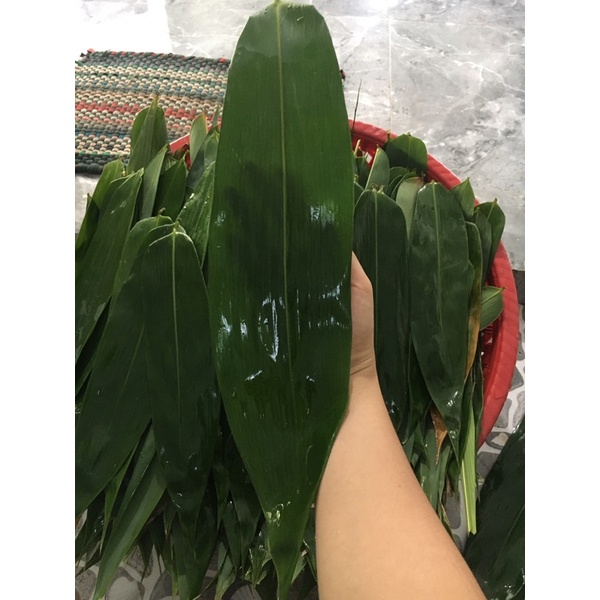 Lá tre tươi 100gram