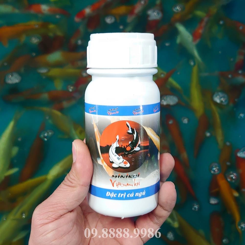 Thuốc đặc trị cá Koi ngủ - rúc góc - KOI FISH 06