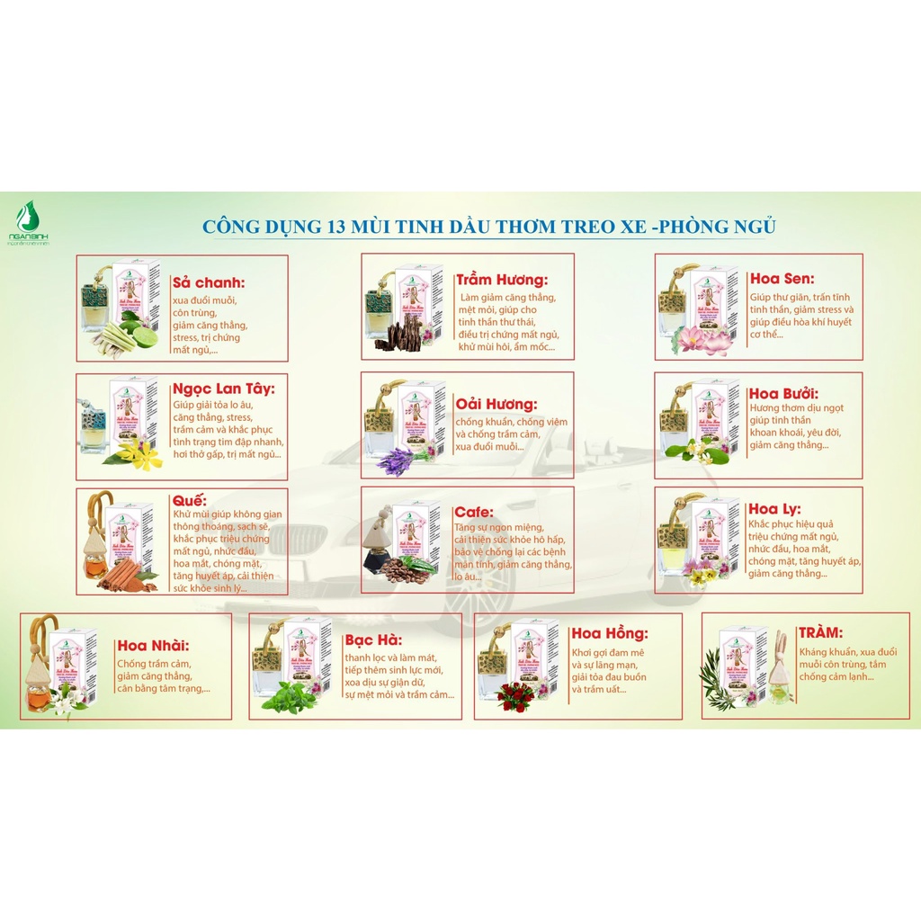 Tinh Dầu Treo Xe Ô Tô NGANBINH 10ML Đậm Đặc Nguyên Chất 100% - Khử mùi hôi