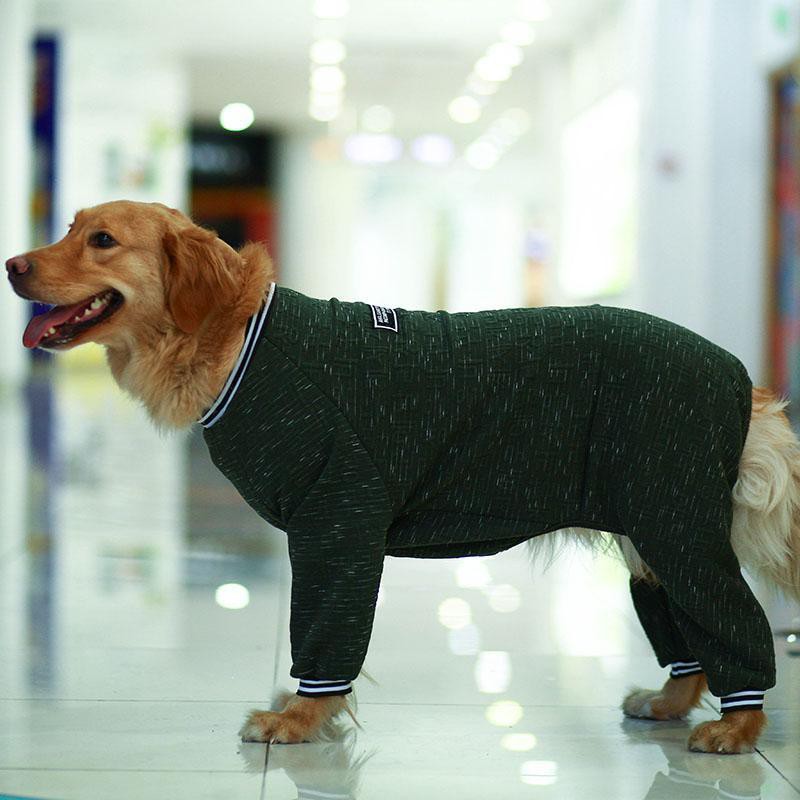 Quần áo cho thú cưng, Golden Retriever, Labrador, Alaska, chó, chống rụng lông, bảo vệ khớp, dài tay bốn chân