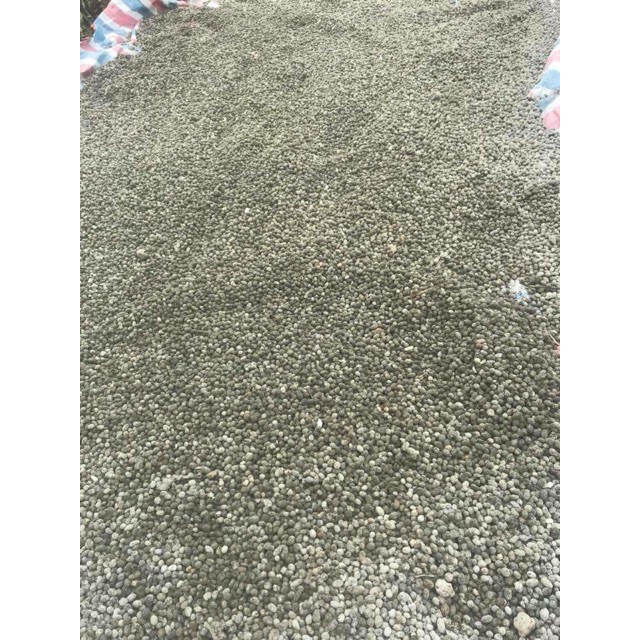 [SIEURE] Phân dê đóng 1kg đã qua xử lý vôi , nấm tricho và được phơi khô hàng đẹp, phân phối chuyên nghiệp.