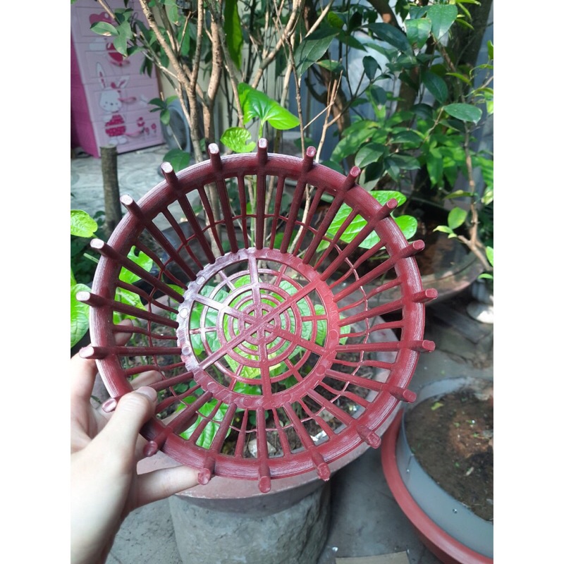 Chậu nhựa Trồng Lan có nan phụ (LAN QUE) chắc chắn đủ size (phi 20 - phi 26), hàng đẹp và có sẵn