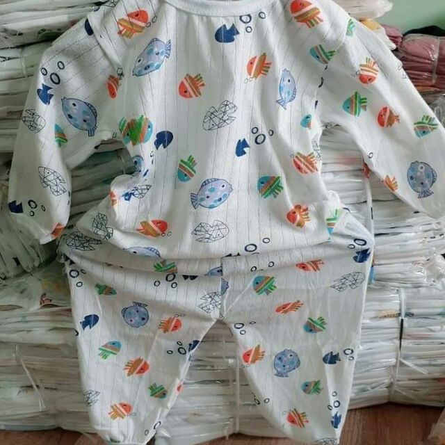 Combo 5 bộ Coton giấy