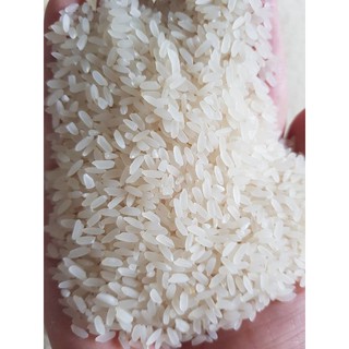 Gạo sén cù - đặc sản tây bắc 5 kg -10 kg