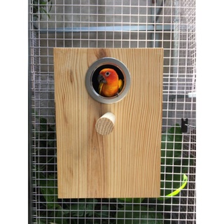 [Mã PET80K giảm 8% tối đa 80K đơn 350K] TỔ SUNCONURE, CÁC DÒNG VẸT TRUNG