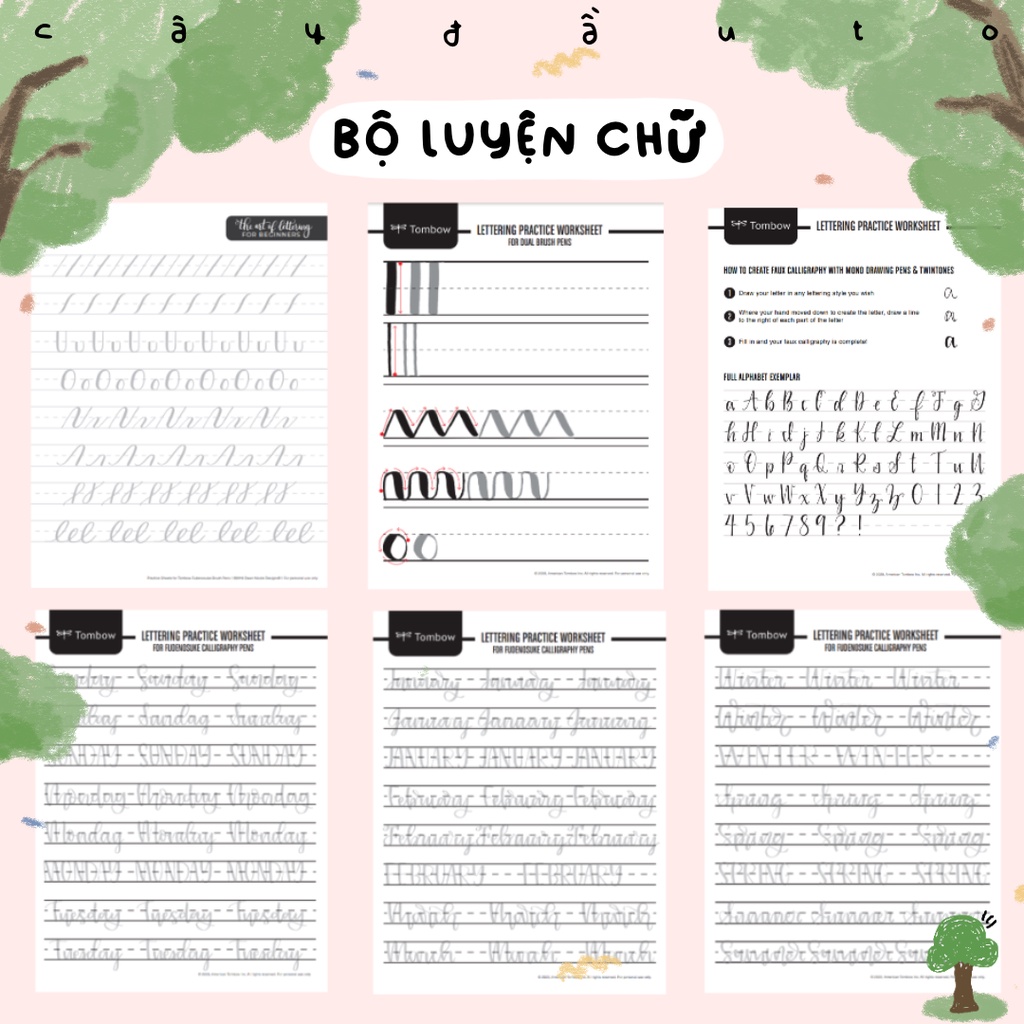 Bộ Luyện Chữ Calligraphy Cơ Bản Cho Người Mới Bắt Đầu Cây Đầu To