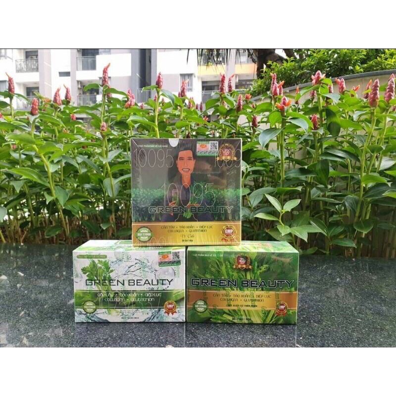 Cần Tây Lá Nếp Green beauty chính hãng