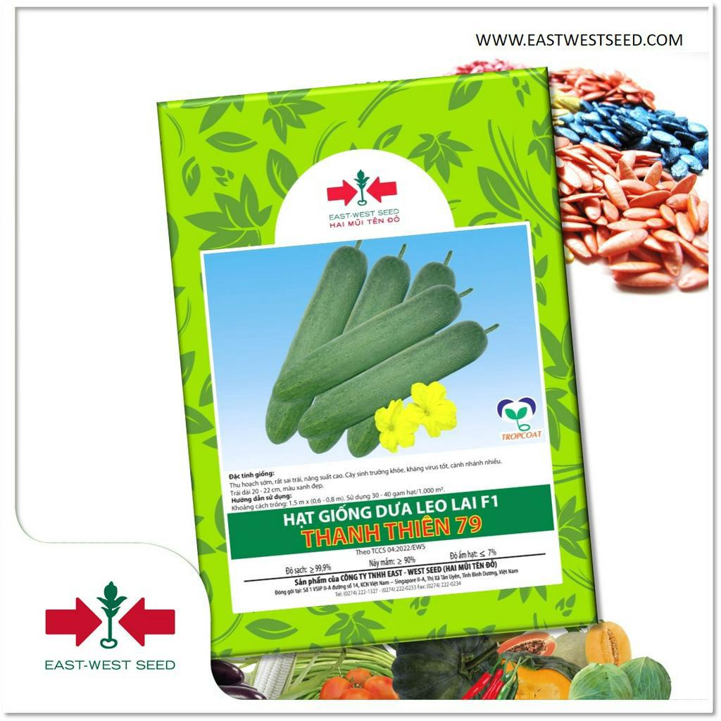 GÓI 10g (KHOẢNG 330 HẠT) HẠT GIỐNG DƯA LEO LAI F1 THANH THIÊN 79 CỦA EAST-WEST SEED (HAI MŨI TÊN ĐỎ)