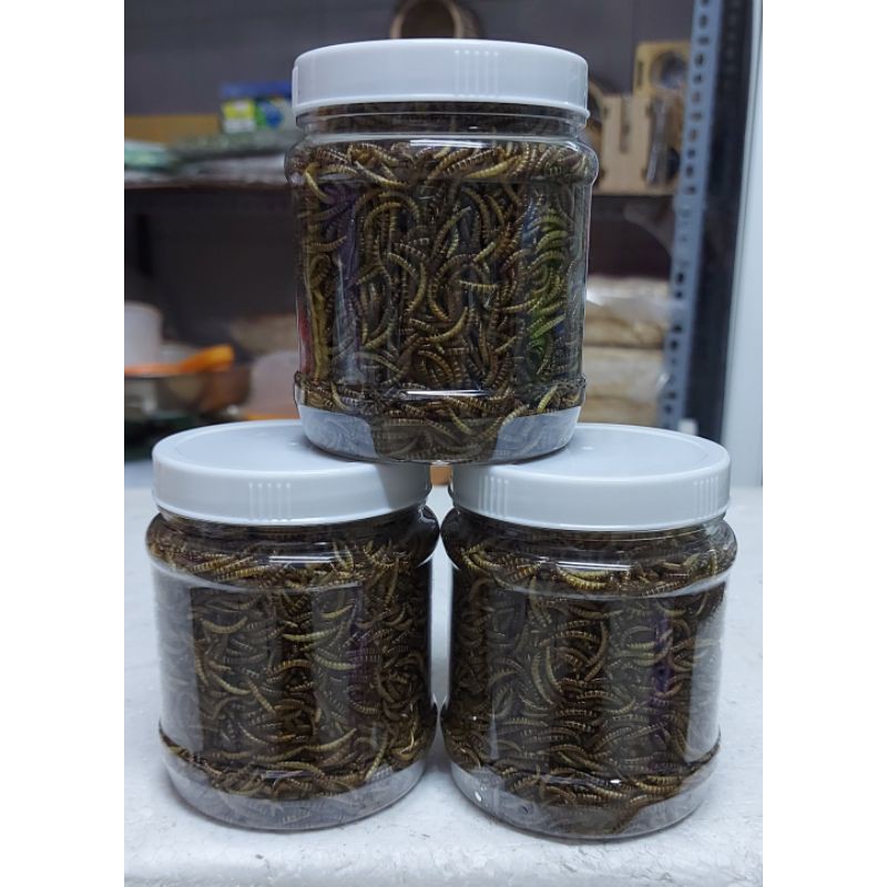 Sâu gạo rang dành cho hamster 50g