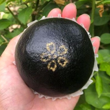 Bột bánh bao nguyên cám than tre