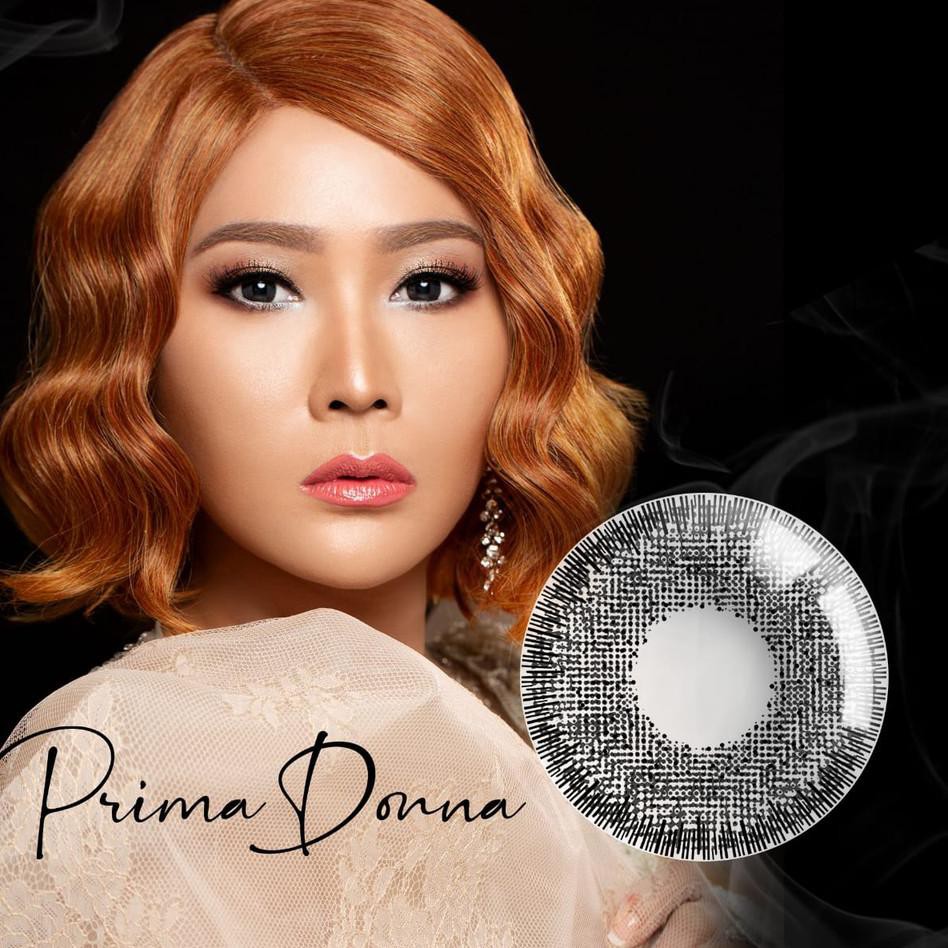 Mềm Lens X2 Fame Inul Daratista 14.50mm Normal And Minus (- 0.50 - D - 3.00) / Bb