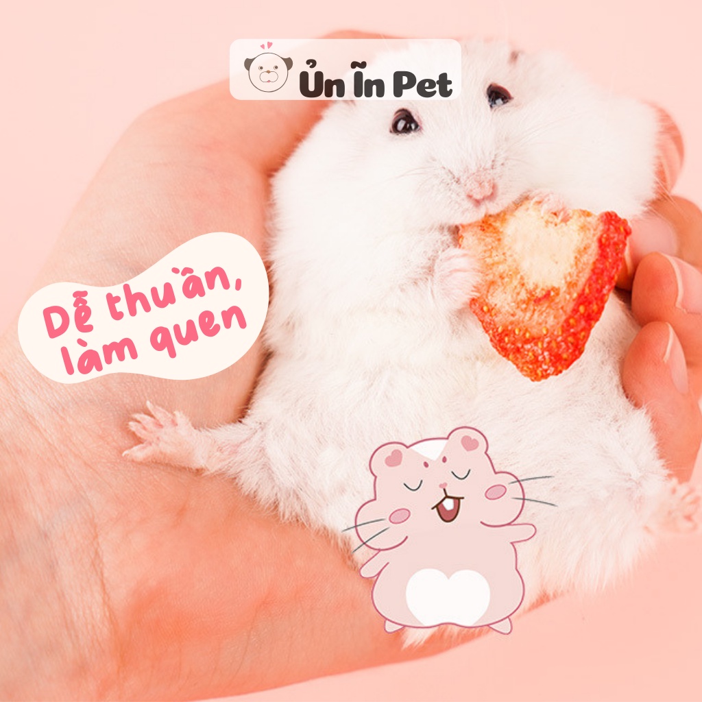 Thức ăn hamster, DÂU SẤY JONSANTY giúp thanh nhiệt, giảm stress