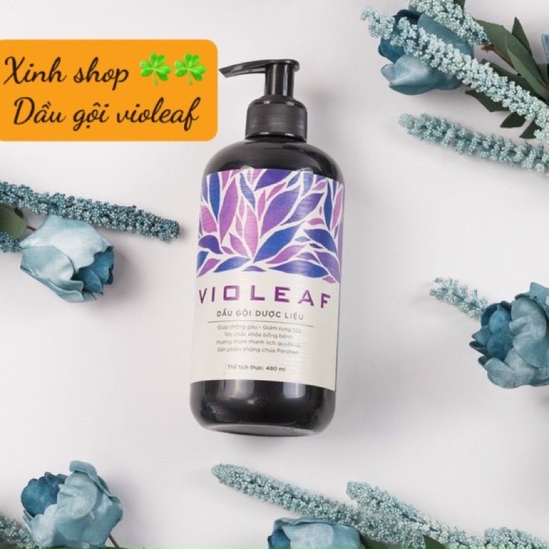 Dầu gội dược liệu Violeaf - Chai 480ml và 100ml mùi thơm dễ chịu công ty sao thái dương