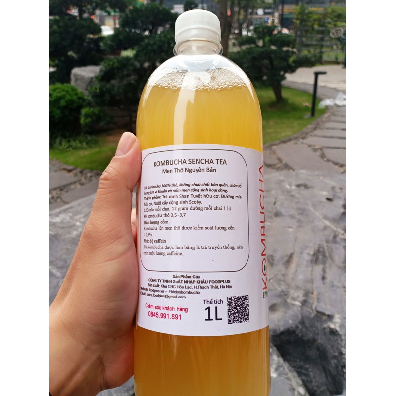 KOMBUCHA SENCHA TEA - HỮU CƠ/CHAI NHỰA - RẺ - TIỆN DỤNG (Nguyên Chất Thô - chuyên dùng cho pha chế )