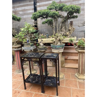 Đôn cây Cảnh Bonsai,  Đôn kê bể cá thủy sinh,Đôn Phong thủy, kệ tượng Thẩm mỹ Cao