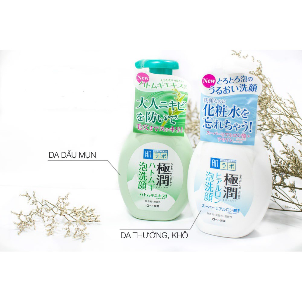 [Hỏa Tốc HN] Sữa rửa mặt tạo bọt dưỡng ẩm da Hada Labo 160ml nội địa Nhật Bản
