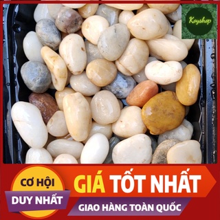 Đá sỏi trang trí bể cá chậu cây túi 2kg sỏi nhiều màu