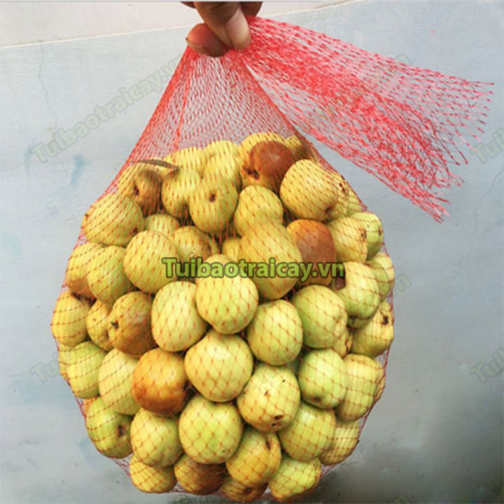 1kg Túi cước, túi lưới dài 35cm màu đỏ - L5