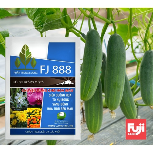 Phân bón mai vàng to hoa dày cánh FJ 888 NHẬT BẢN  15g