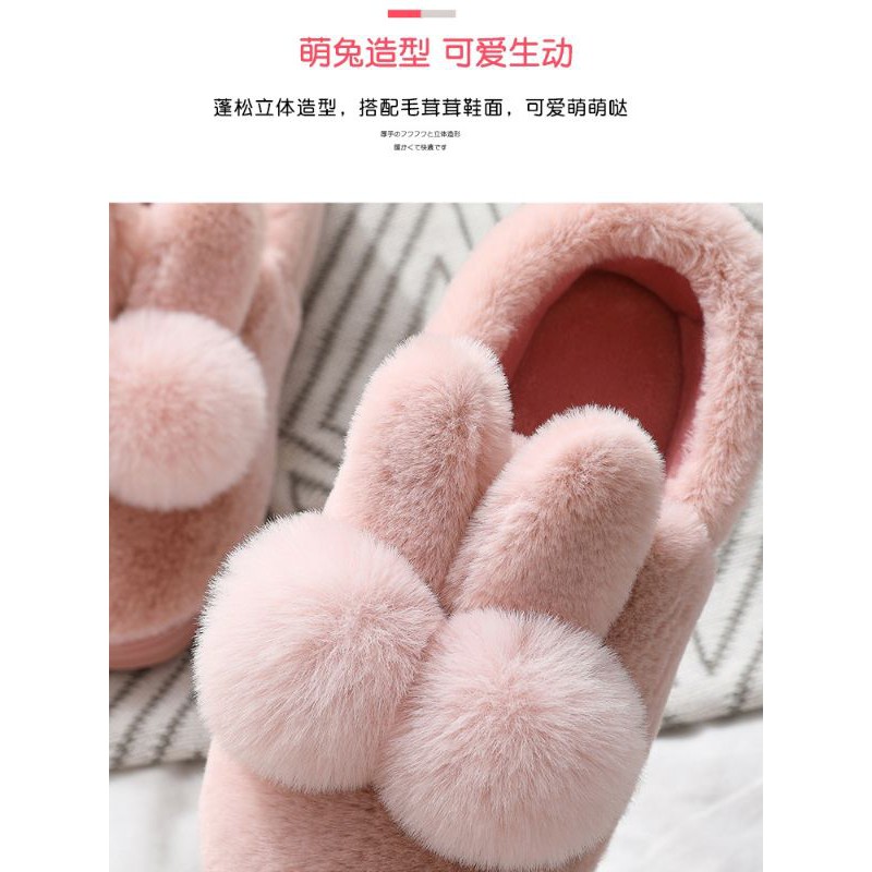 DÉP LÔNG ĐI TRONG NHÀ