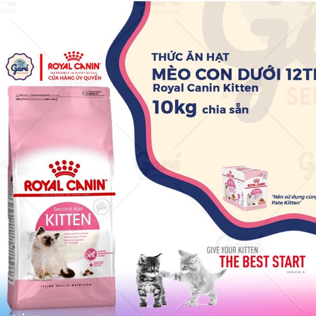 Thức ăn cao cấp cho mèo Royal canin Kitten bao 10kg