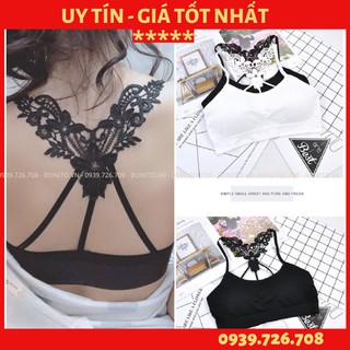 Áo lót bra cotton lưng ren bướm 3 lỗ