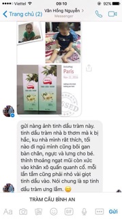 Tinh dầu tràm Huế Cầu Bình An 100ml