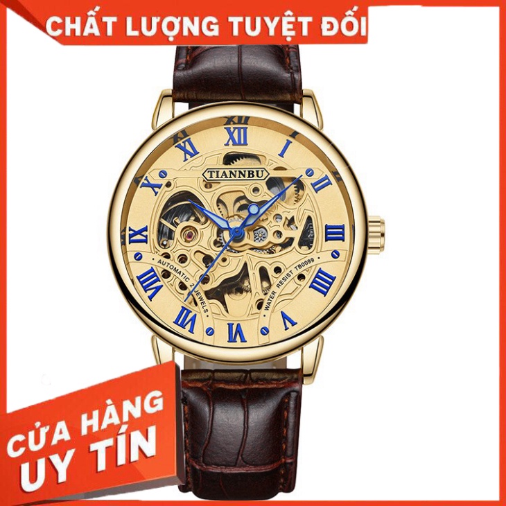 Đồng hồ cơ tự động - lộ cơ (skeleton) nam dây da Tianbu PKHRTB001 - mặt vàng - Hàng nhập khẩu