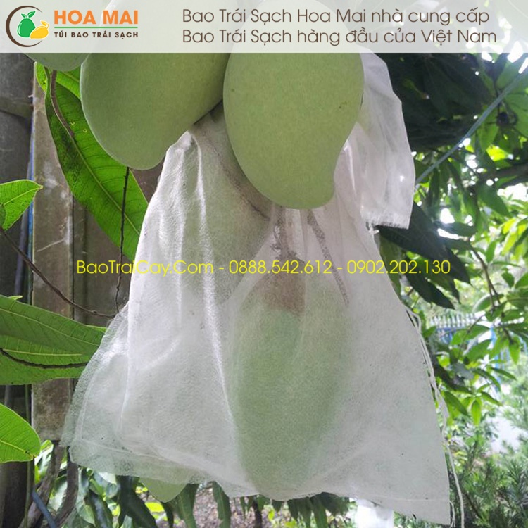 Túi bao xoài nhỏ Hoa Mai 18x24  chống sâu ruồi vàng đục quả bao trái sạch giá rẻ - hàng chính hãng