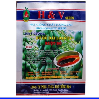 Hạt giống đu đủ ruột đỏ