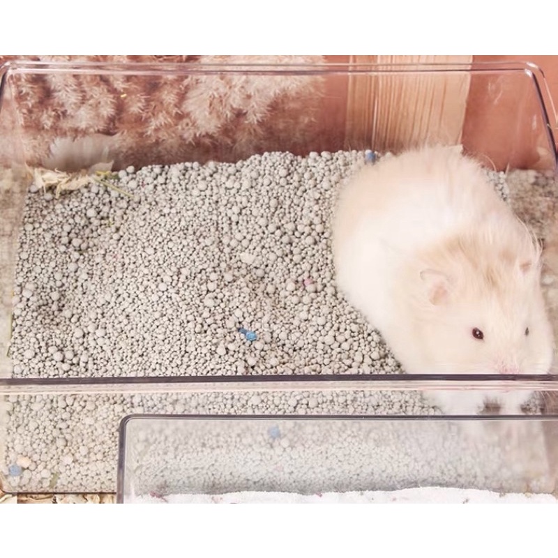 khay chữ nhật trong suốt đa năng cho hamster/ thỏ/ bọ/ nhím/ sóc,...