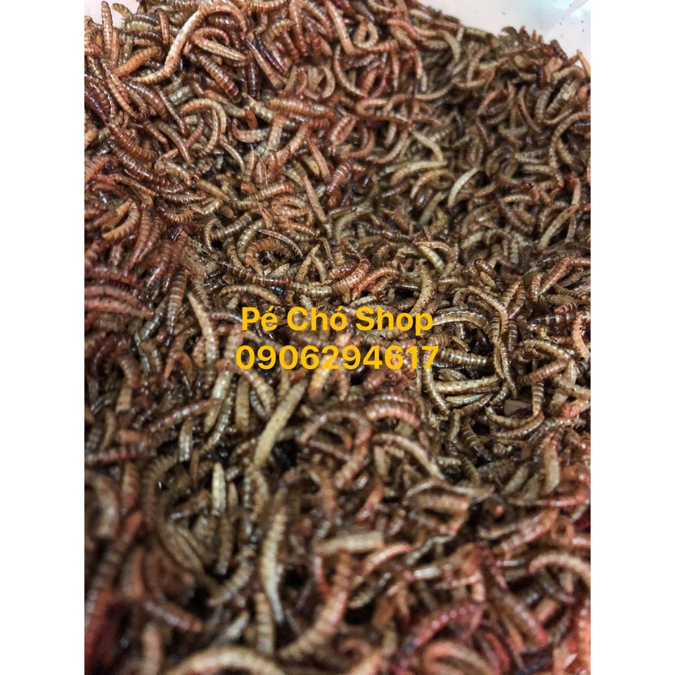 Sâu gạo rang khô cho hamster,gà,chim,nhím,sóc ,..