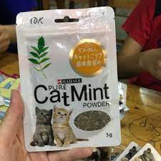 cỏ bạc hà cho mèo dang gói 5g