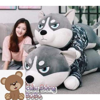 [BOBO] chuẩn 1m2-1m5(có video) gấu chó husky siêu to khổng lồ hàng tại xưởng đảm bảo rẻ hơn thị trường 50%