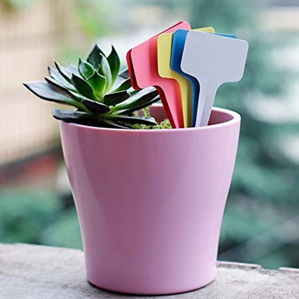 Set 100 Thẻ Nhựa Chữ T 6 X10Cm 5 Màu Chuyên Dụng Gắn Chậu Cây Cảnh
