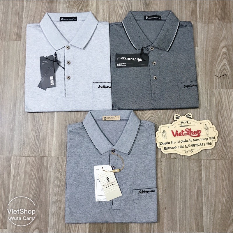 Áo thun nam trung niên cộc tay ( 3 màu ) | BigBuy360 - bigbuy360.vn