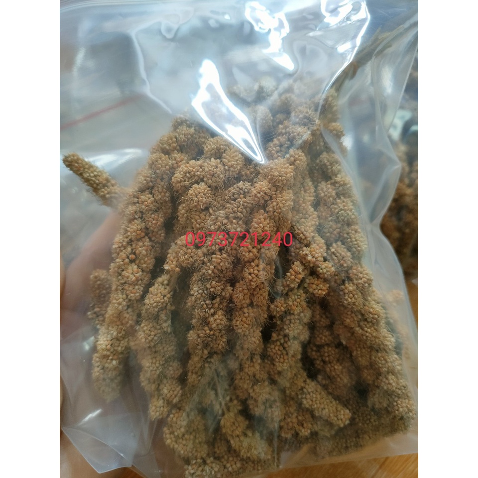 500g Kê chùm nguyên nhánh, ăn dặm, mượt lông cho Hamster, Sóc Bông, Sóc Đất, Sóc Bay Úc, Sóc Bắc Mỹ...