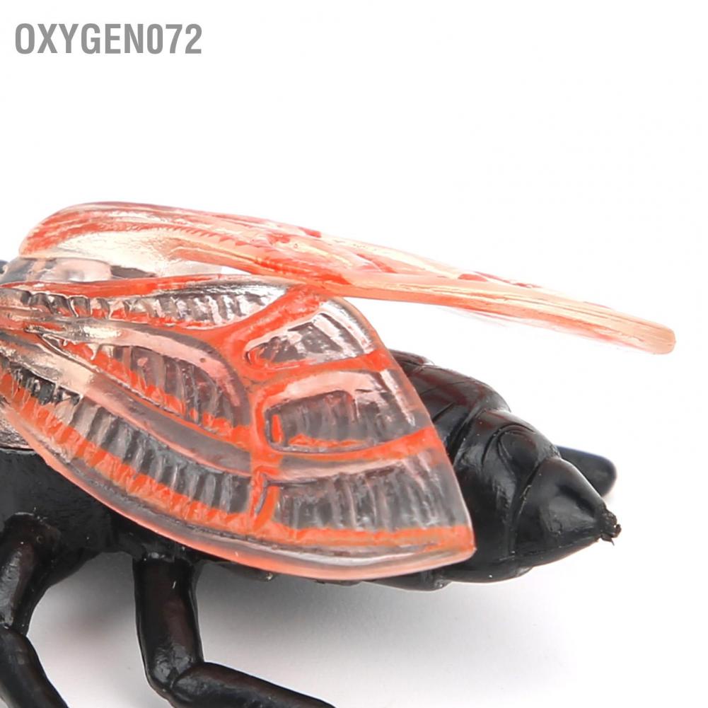 Oxygen072 Cicada Insect Model Highly Simulation Children Kids Ornament Decoration