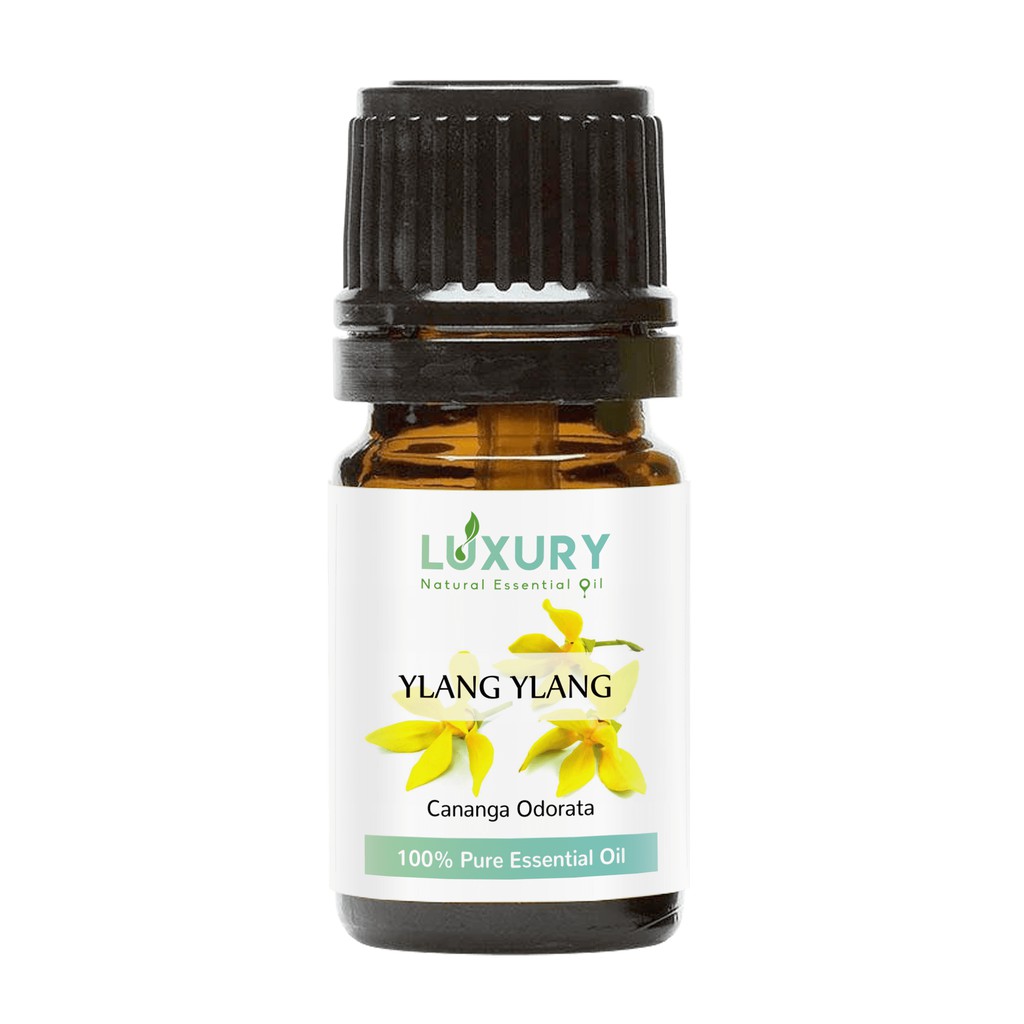 Tinh Dầu Ngọc Lan Tây ☘️ Luxury Oil ☘️ - Ylang Ylang Essential Oil | Cao Cấp Nhập Khẩu | 100% Thiên Nhiên Nguyên Chất