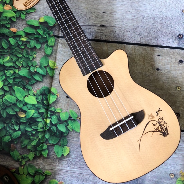 Đàn Ukulele Concert Ortega MTE-CB25