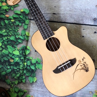 Đàn Ukulele Concert Ortega MTE-CB25